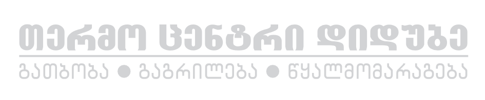 თერმოცენტრი დიდუბე ლოგო